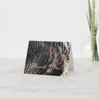 Wild Turkey Feathers I Abstract Natuur Design