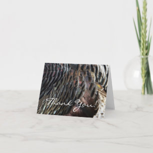 Wild Turkey Feathers I Abstract Natuur Design Bedankkaart