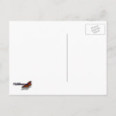 Wild Turkey Feathers I Abstract Natuur Design Briefkaart (Achterkant)