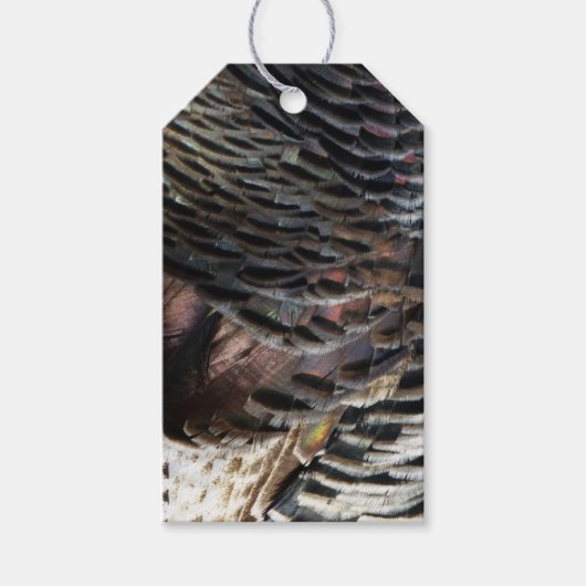 Wild Turkey Feathers I Abstract Natuur Design Cadeaulabel (Voorkant)