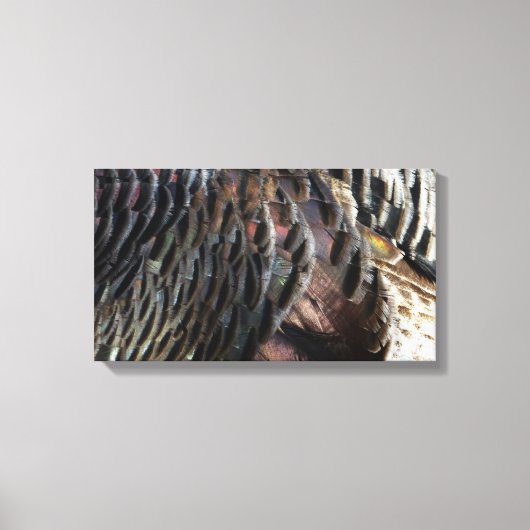 Wild Turkey Feathers I Abstract Natuur Design Canvas Afdruk (Voorkant)