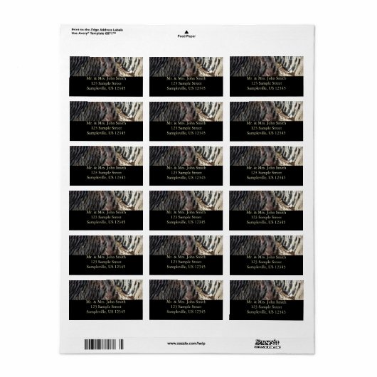 Wild Turkey Feathers I Abstract Natuur Design Etiket (Full Sheet)