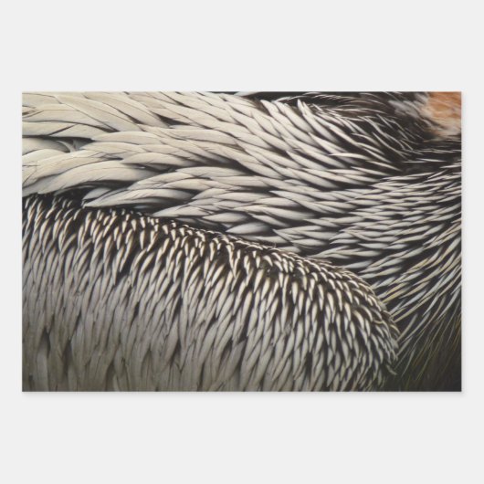 Wild Turkey Feathers I Abstract Natuur Design Inpakpapier Vel (Voorkant 3)