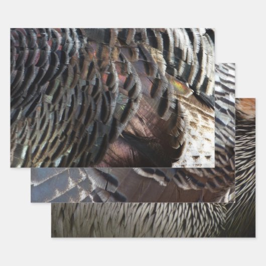 Wild Turkey Feathers I Abstract Natuur Design Inpakpapier Vel (Set)