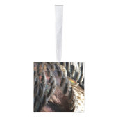 Wild Turkey Feathers I Abstract Natuur Design Kubus Ornament (Rechts)