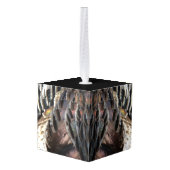 Wild Turkey Feathers I Abstract Natuur Design Kubus Ornament (Achter hoekig)