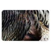 Wild Turkey Feathers I Abstract Natuur Design Magneet (Horizontaal)