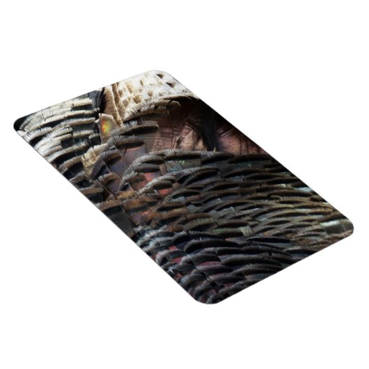 Wild Turkey Feathers I Abstract Natuur Design Magneet (Rechterzijde)