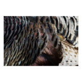 Wild Turkey Feathers I Abstract Natuur Design Perfect Poster (Voorkant)