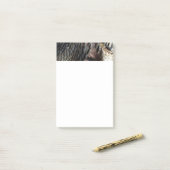 Wild Turkey Feathers I Abstract Natuur Design Post-it® Notes (Op bureau)