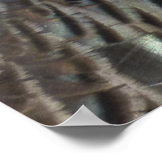 Wild Turkey Feathers I Abstract Natuur Design Poster (Hoek)