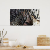 Wild Turkey Feathers I Abstract Natuur Design Poster (Keuken)