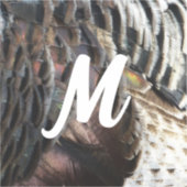 Wild Turkey Feathers I Abstract Natuur Design Sticker (Voorkant)