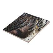 Wild Turkey Feathers I Abstract Natuur Design Tegeltje (Zijkant)