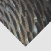 Wild Turkey Feathers I Abstract Natuur Design Tissuepapier (Detail)