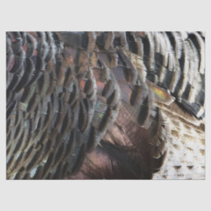Wild Turkey Feathers I Abstract Natuur Design Tissuepapier