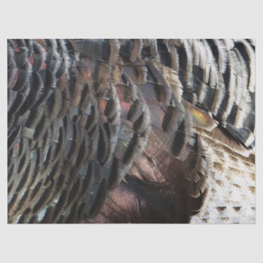 Wild Turkey Feathers I Abstract Natuur Design Tissuepapier (Voorkant)