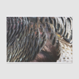 Wild Turkey Feathers I Abstract Natuur Design Tissuepapier