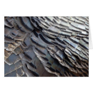 Wild Turkey Feathers II Abstract Natuur Design