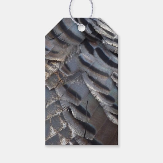 Wild Turkey Feathers II Abstract Natuur Design Cadeaulabel (Voorkant)