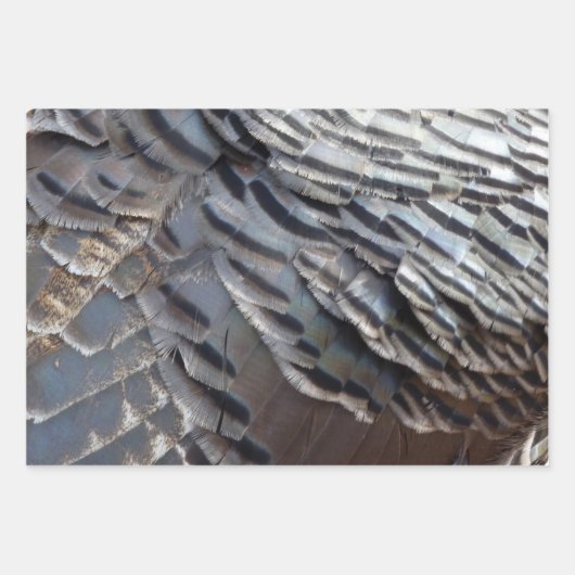 Wild Turkey Feathers II Abstract Natuur Design Inpakpapier Vel (Voorkant 2)