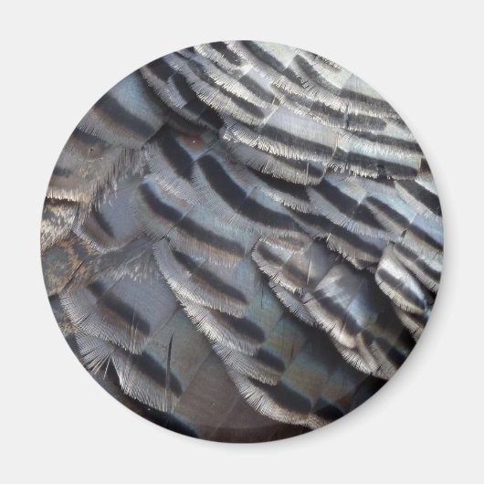 Wild Turkey Feathers II Abstract Natuur Design Magneet (Voorkant)