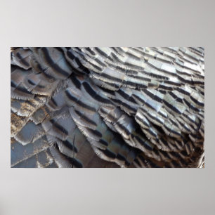 Wild Turkey Feathers II Abstract Natuur Design Poster