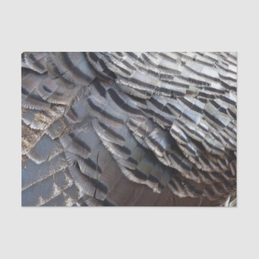 Wild Turkey Feathers II Abstract Natuur Design Tissuepapier (Voorkant)