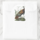 Wild Turkey, John Audubon Ronde Sticker (Tas)