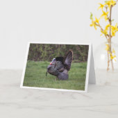 Wild Turkey Kaart (Gele Bloem)