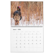 Wild Turkey Kalender (Mar 2026)