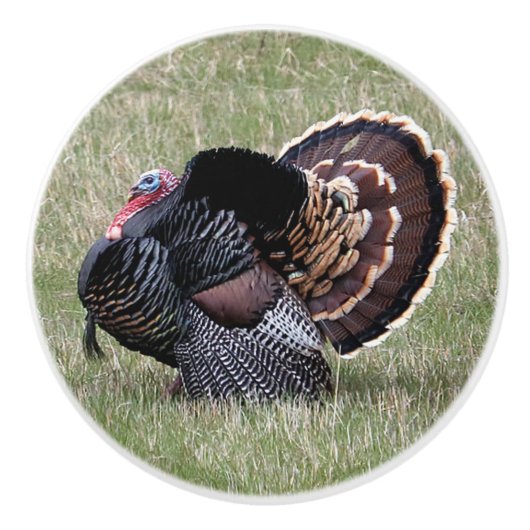 Wild Turkey Keramische Knop (Voorkant)