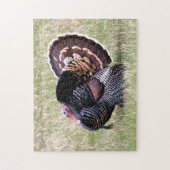 Wild Turkey Legpuzzel (Verticaal)