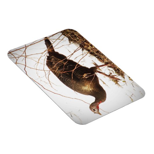 Wild Turkey Magnet (Côté Droit)
