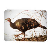 Wild Turkey Magnet (Horizontal)