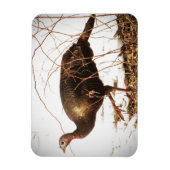 Wild Turkey Magnet (Vertical)
