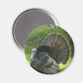 Wild Turkey Magnet Magneet (Voorkant / Achterkant)
