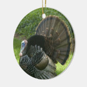 Wild Turkey Ornament (Links)