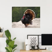 Wild Turkey Poster (Thuiskantoor)