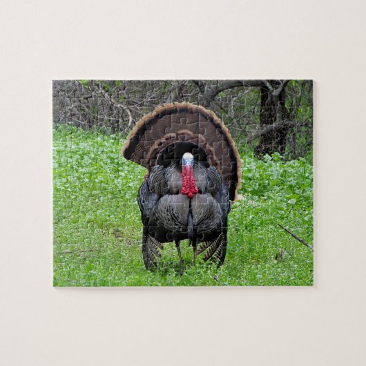 Wild Turkey Puzzle Legpuzzel (Horizontaal)