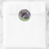 Wild Turkey Ronde Sticker (Tas)