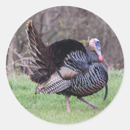 Wild Turkey Ronde Sticker (Voorkant)