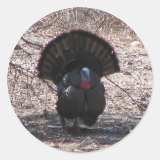 Wild Turkey Ronde Sticker