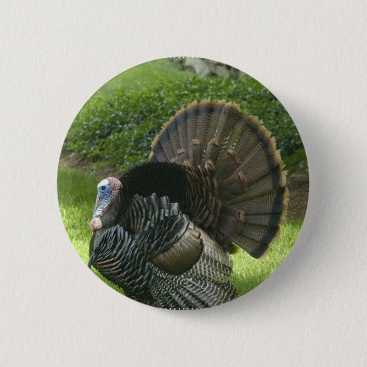 Wild Turkey Round Button (Voorkant)