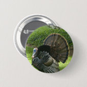 Wild Turkey Round Button (Voorkant /achterkant)