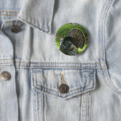Wild Turkey Round Button (In situ)
