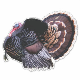 Wild Turkey Sticker