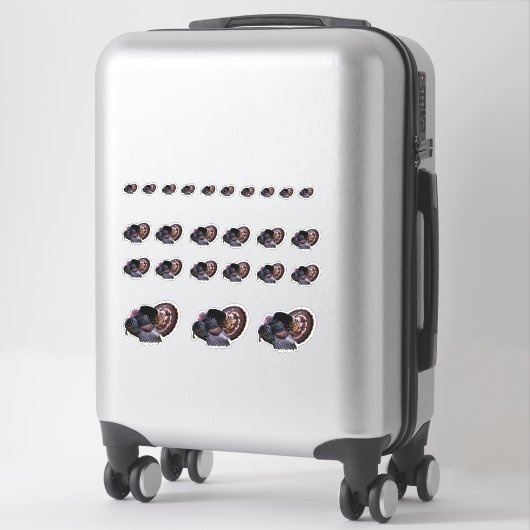 Wild Turkey Stickers (Koffer)