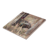 Wild Turkey Tegeltje (Zijkant)