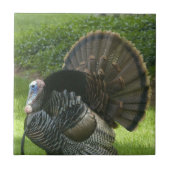 Wild Turkey Tile Tegeltje (Voorkant)